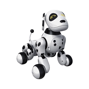 Roboty zdalnie sterowane Roboty zdalnie sterowane