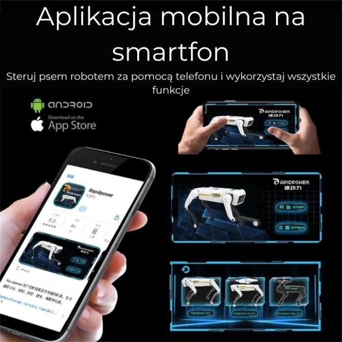 Robot pies infografika