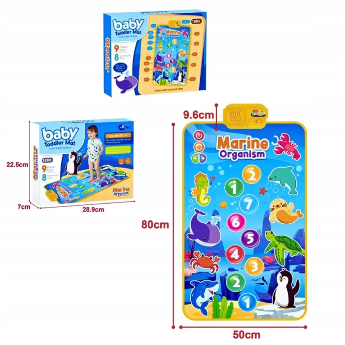 Mata Muzyczna dla Dzieci Ocean Wymiary