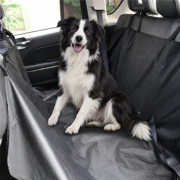 Border collie siedzi na czarnej macie ochronnej na tylnej kanapie samochodu