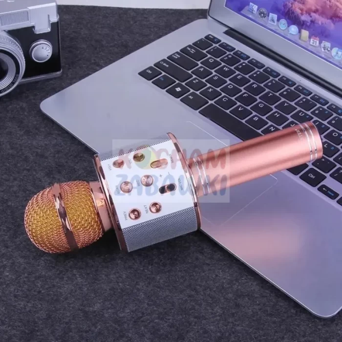 Mikrofon karaoke bluetooth